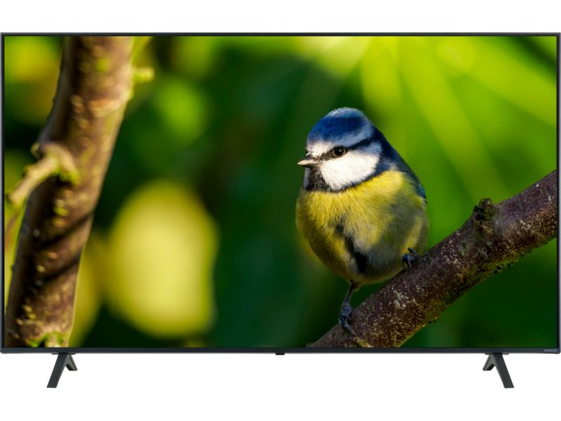 LG 65NANO80A6B