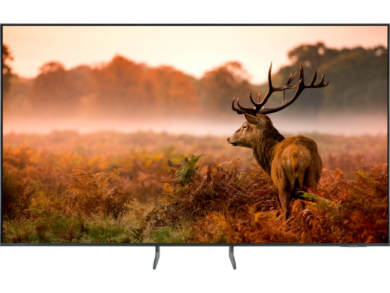 Samsung QE65QN73H