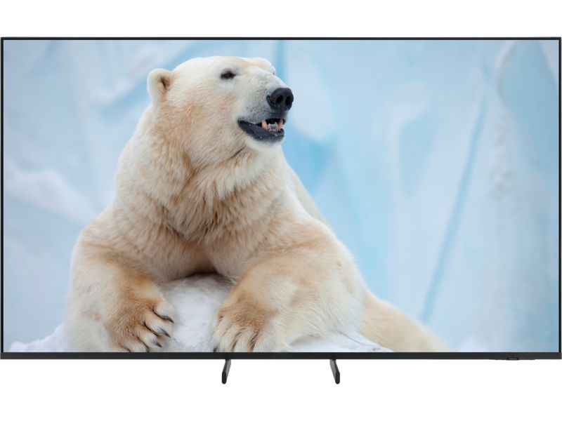 Samsung QE55QN80H