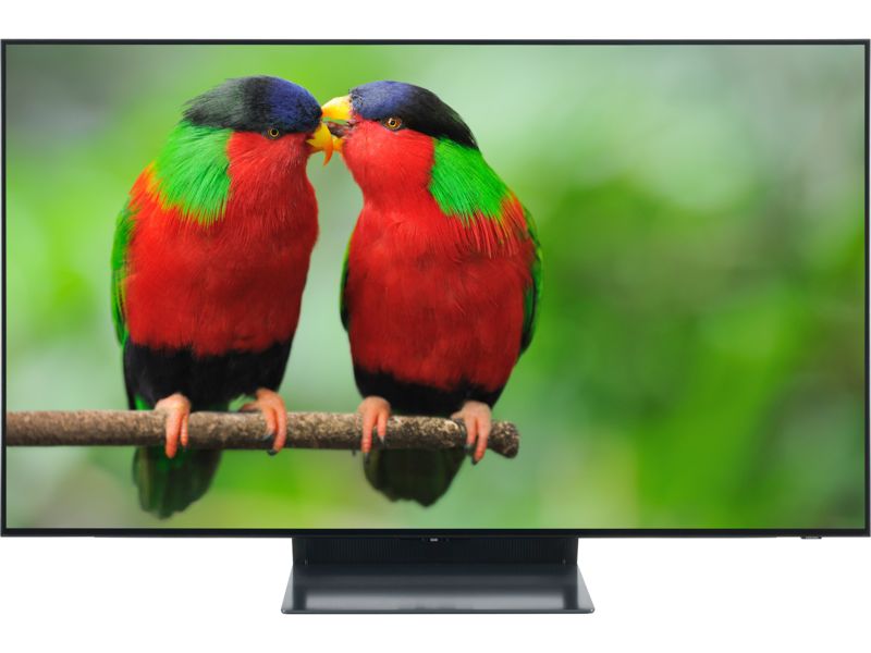 Samsung QE48S93H