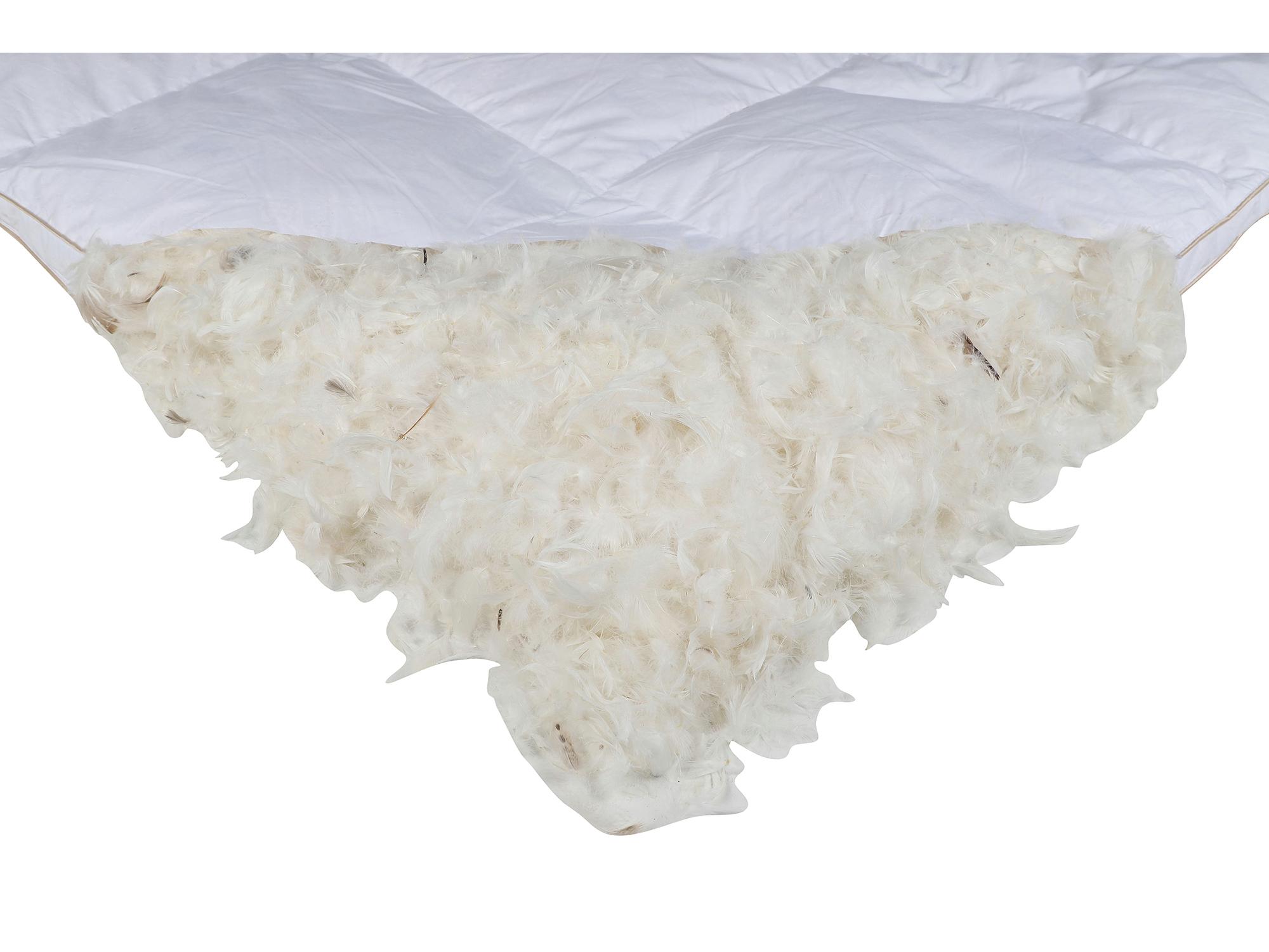 Next Goose Feather And Down Mattress Topper review Feather Mattress
