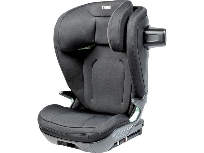 Thule Palm