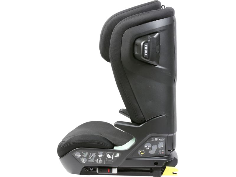 Thule Palm - thumbnail side