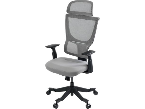 Flexispot Flexi chair BS8 front view